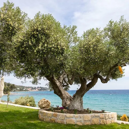 Villa Ktima Delmare Pantazara