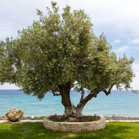 Villa Ktima Delmare Pantazara