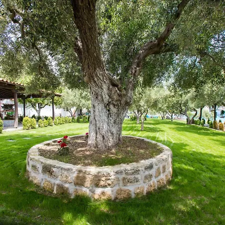 Villa Ktima Delmare Pantazara