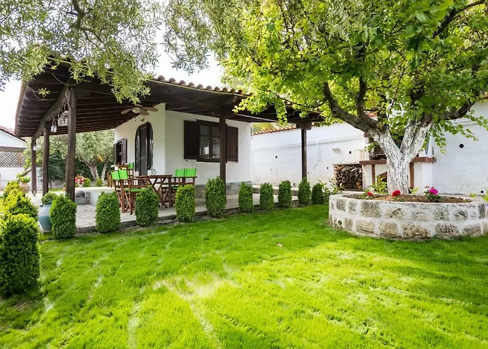 Ktima Delmare Pantazara Villa Nea Skioni