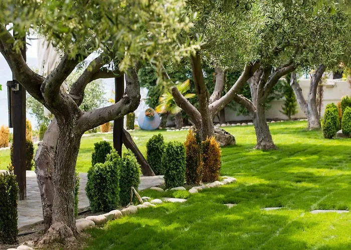 Ktima Delmare Pantazara Villa Nea Skioni