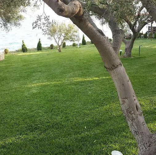 Ktima Delmare Pantazara Villa *