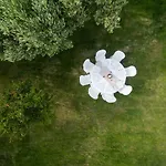 Ktima Delmare Pantazara Villa Nea Skioni