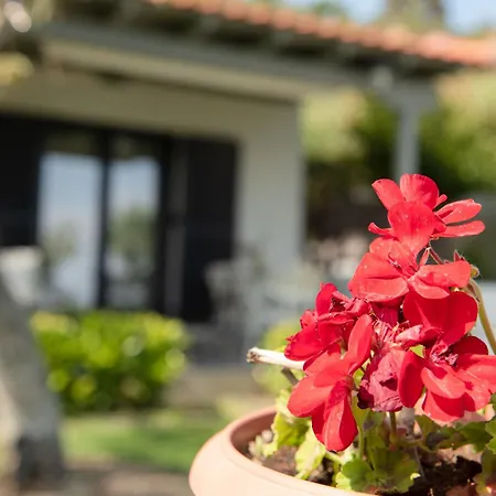 Villa Ktima Delmare Pantazara *