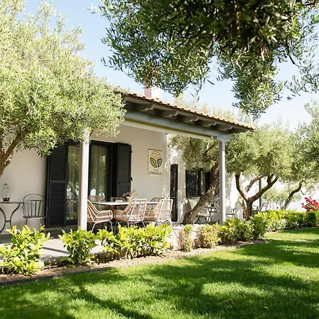 Ktima Delmare Pantazara Villa