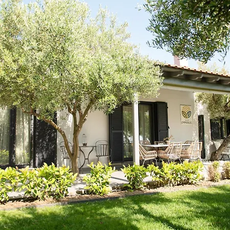 Ktima Delmare Pantazara Villa